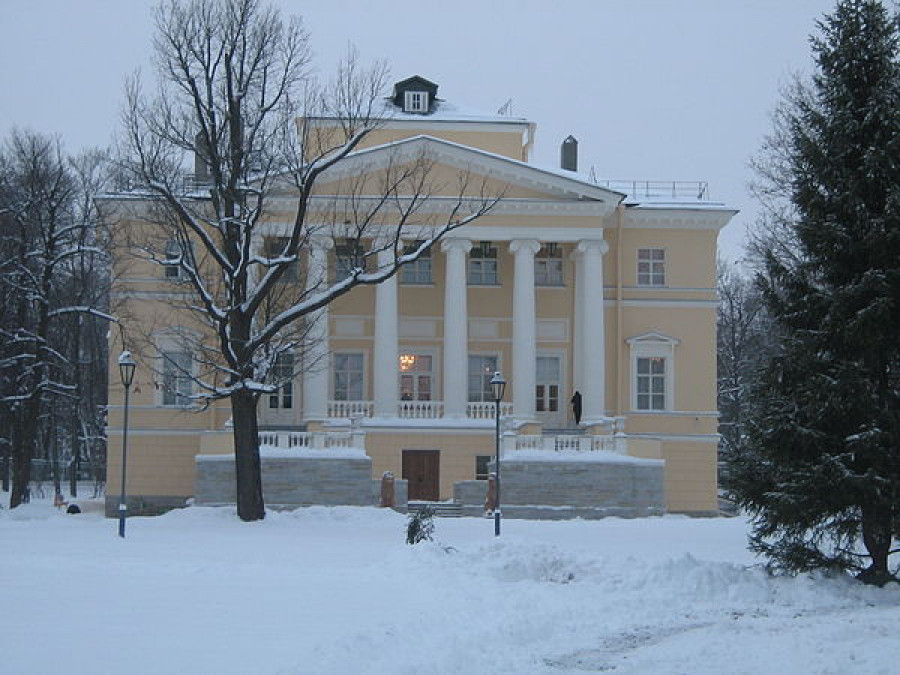 Запасной (Владимирский) дворец