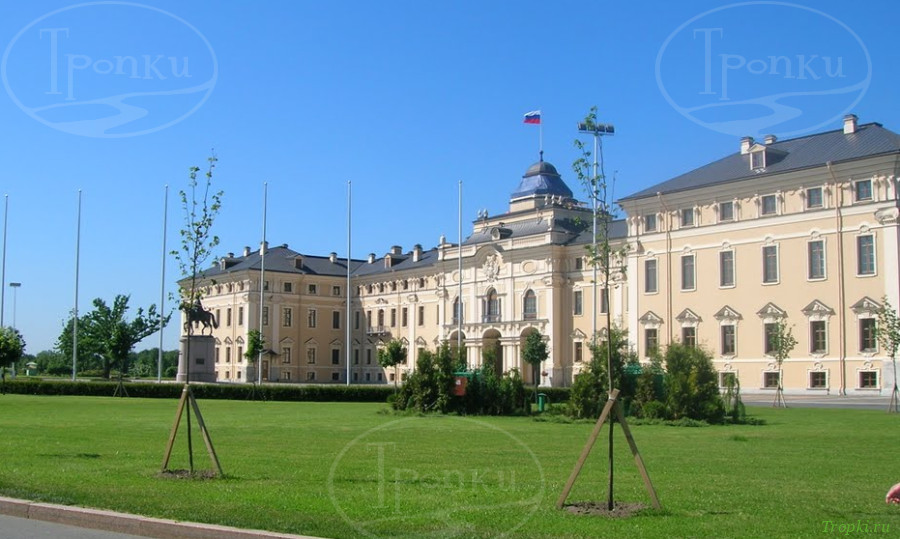 Стрельна