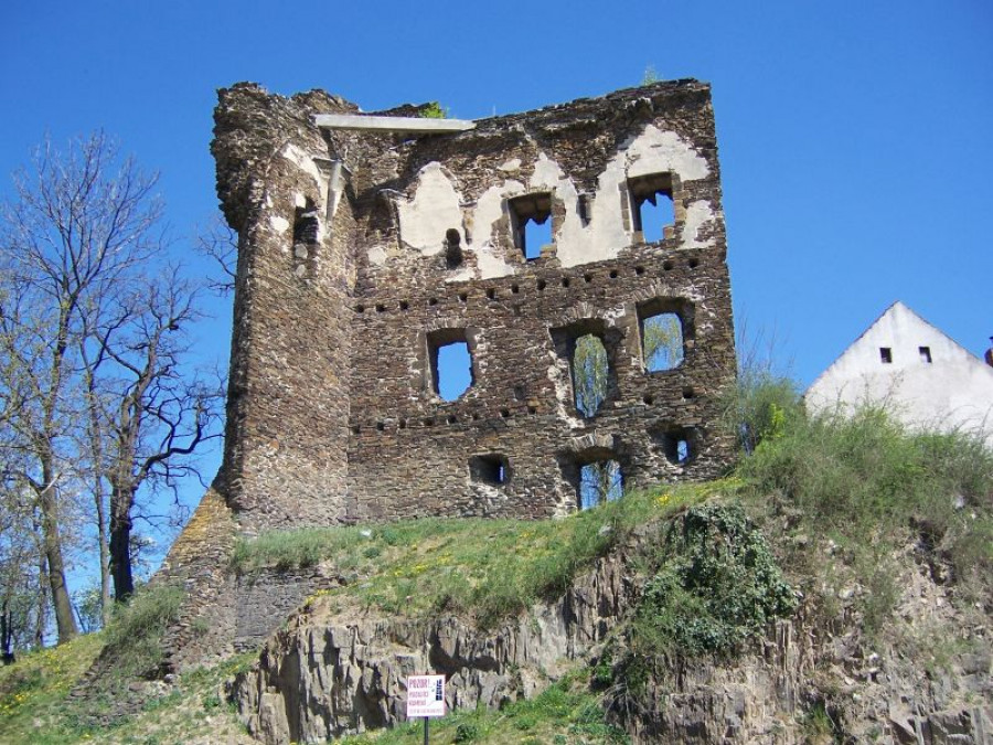Ржичанский Замок