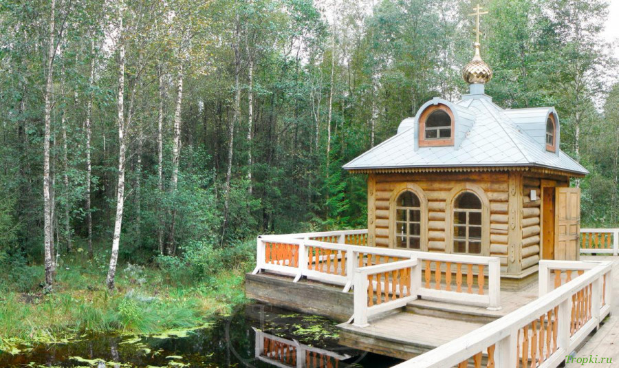 Исток реки Волга. Волговерховье.