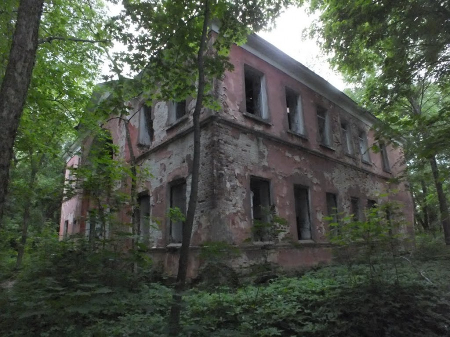Усадьба Богородское (Кишкино)