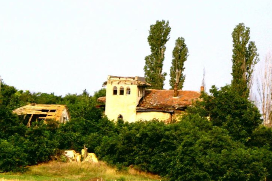 Усадьба Шлее