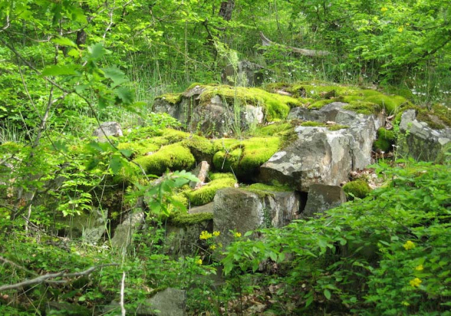 Заказник Аю-Даг