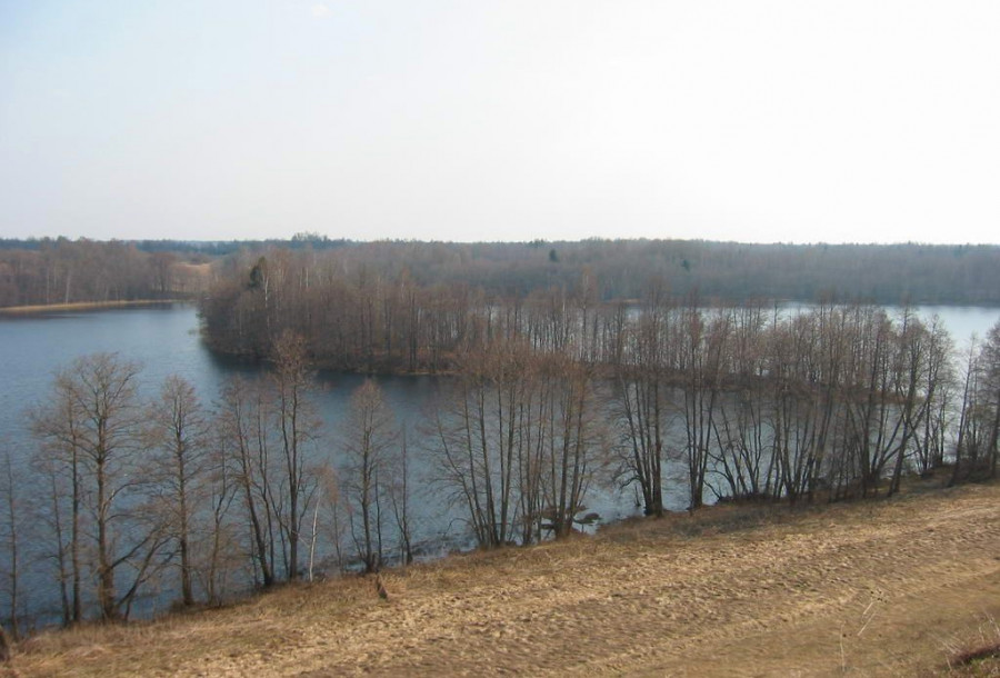 Городище Вержавск