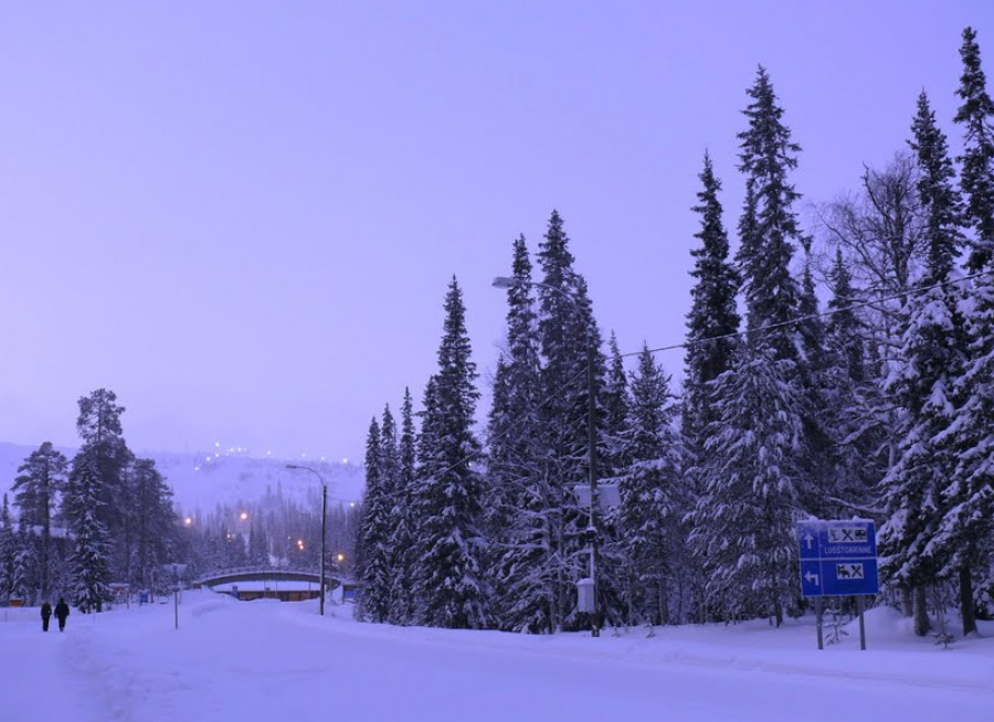 Луосто