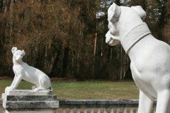 Усадьба Архангельское - фото 13 Усадьба Архангельское - фото 13