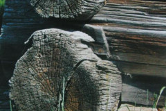 Успенская церковь - фото 5 Успенская церковь - фото 5