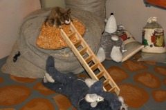 Музей Мыши - фото 2