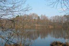 Городище Вержавск - фото 1