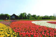 Национальный парк Такино Судзуран