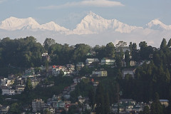 Дарджилинг Дарджилинг