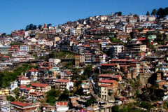 Шимла Шимла