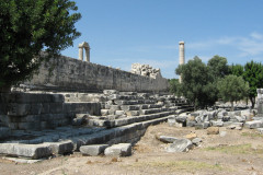 Дидим Дидим