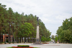 Алитус