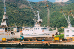 Биела