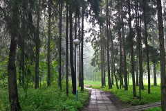 Каринское
