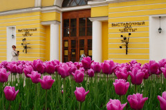 Оранжерея цветов в Санкт-Петербурге Оранжерея цветов в Санкт-Петербурге