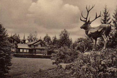 Краснолесье