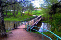Сестрорецк