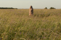 Центрально-Чернозёмный заповедник