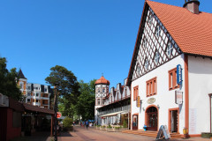 Светлогорск