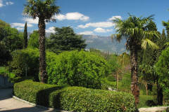 Ливадийский парк