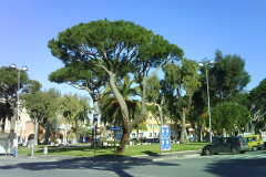 Латина Латина
