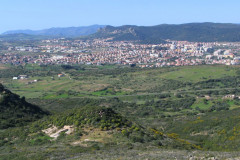 Карбония Карбония
