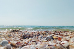 Кирилловка Кирилловка