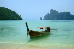 Тонсай Тонсай